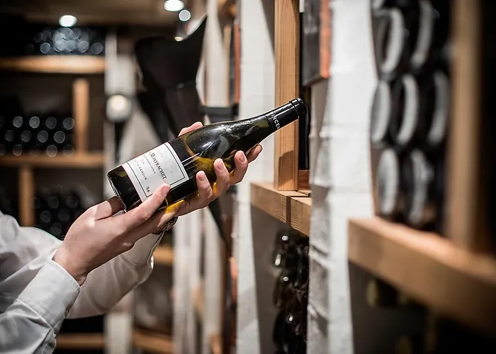 酒店 Fakkelgaarden & Restaurant 4*